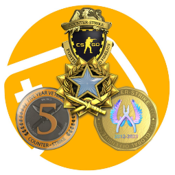 CS2 prime / 4 medalhas /Privado rank: 19 ⭐️ 8 Partidas ⭐️ 10 anos do Serviço ⭐️ 7 lvl ⭐️ Durante main ⭐️ 0